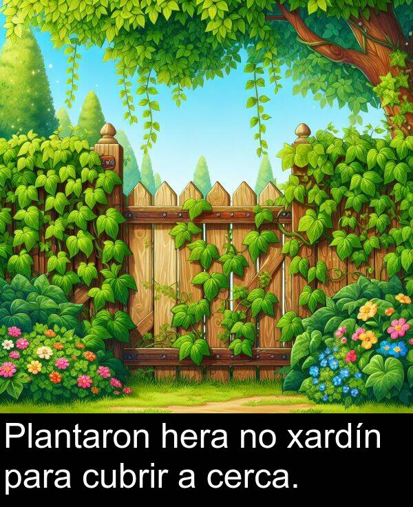 cubrir: Plantaron hera no xardín para cubrir a cerca.