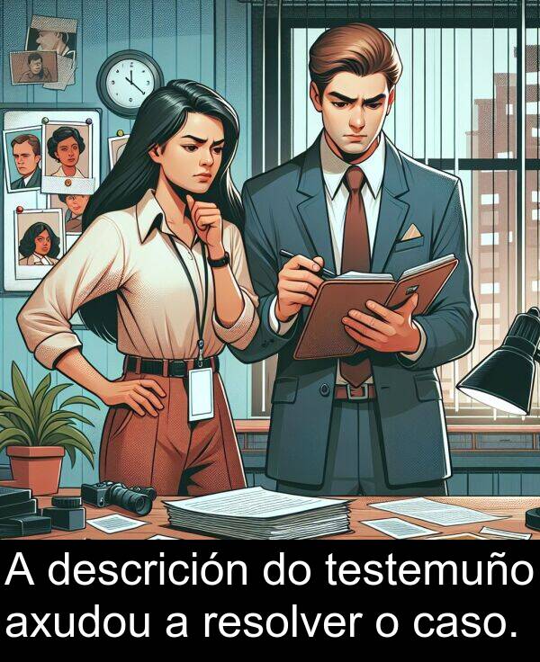 resolver: A descrición do testemuño axudou a resolver o caso.