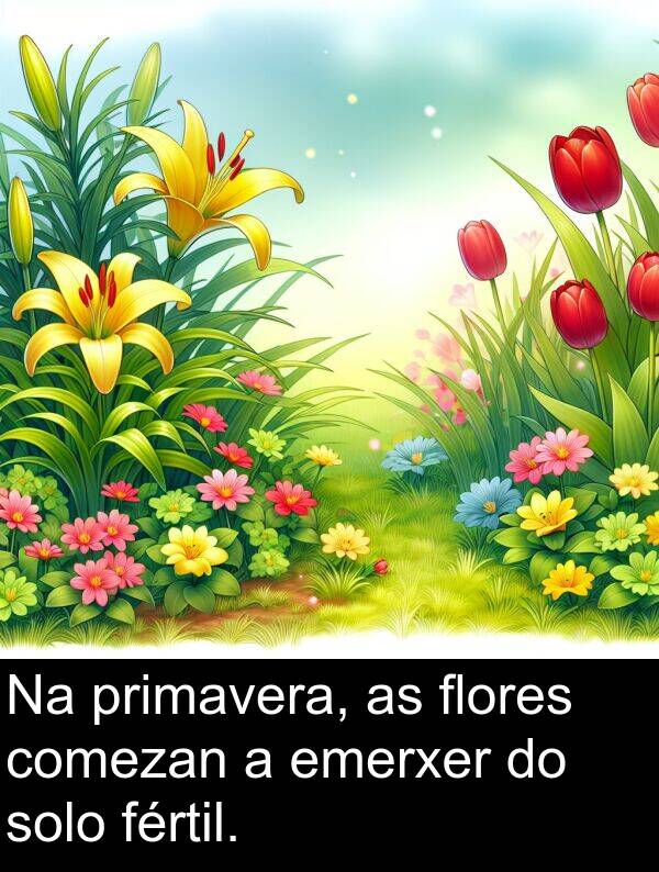 emerxer: Na primavera, as flores comezan a emerxer do solo fértil.