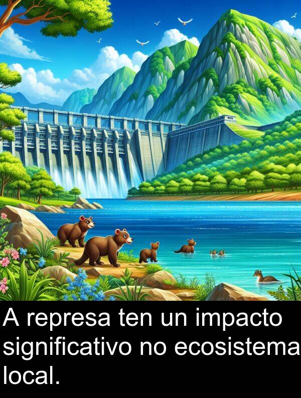 represa: A represa ten un impacto significativo no ecosistema local.