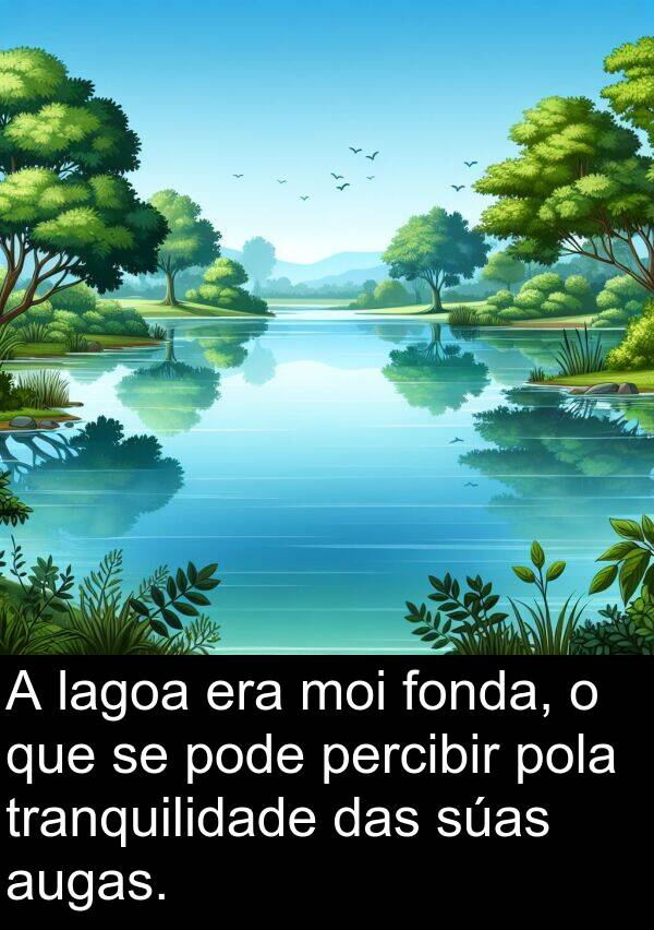 tranquilidade: A lagoa era moi fonda, o que se pode percibir pola tranquilidade das súas augas.