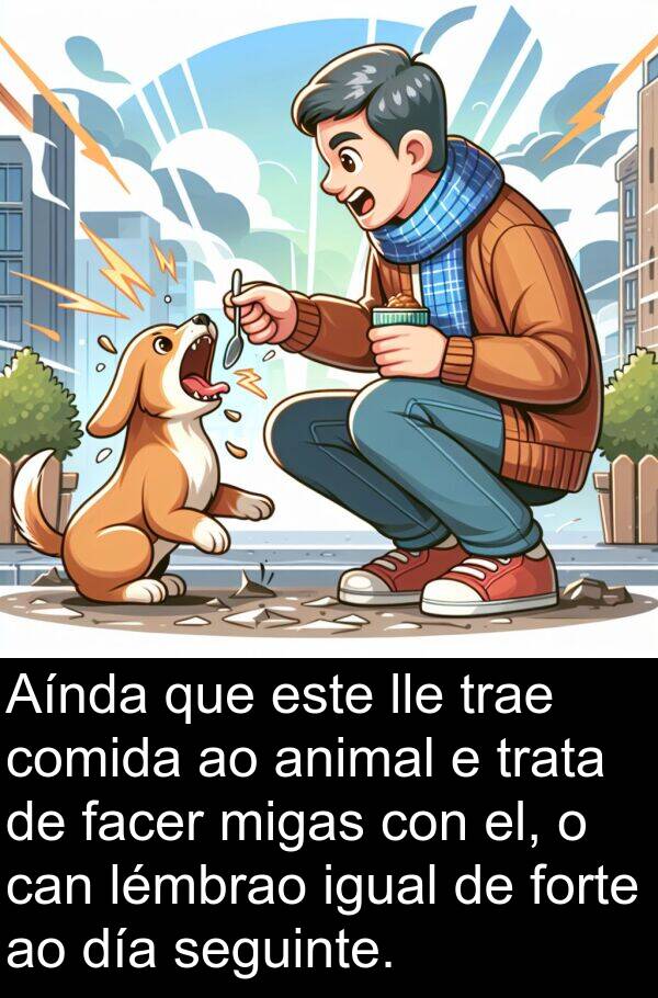 forte: Aínda que este lle trae comida ao animal e trata de facer migas con el, o can lémbrao igual de forte ao día seguinte.
