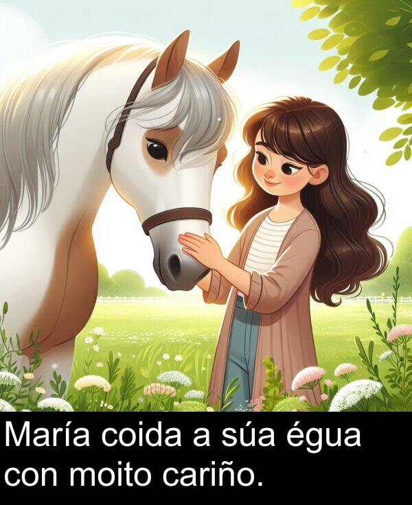 égua: María coida a súa égua con moito cariño.