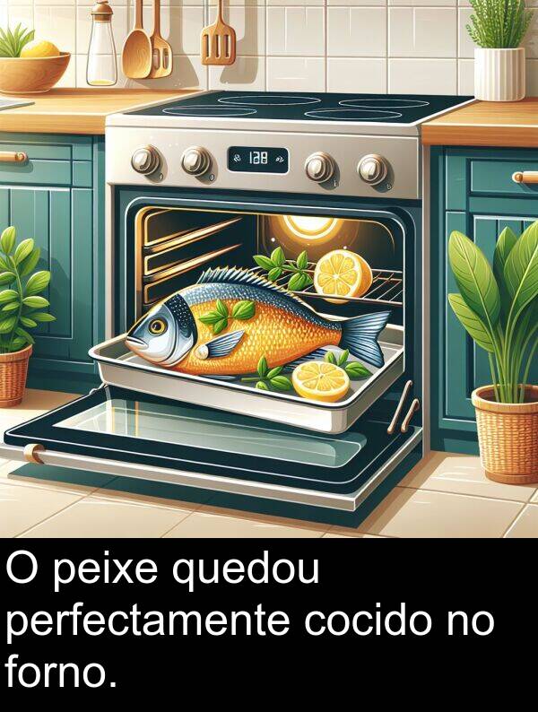 perfectamente: O peixe quedou perfectamente cocido no forno.