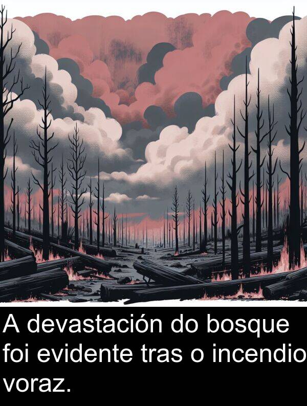 evidente: A devastación do bosque foi evidente tras o incendio voraz.
