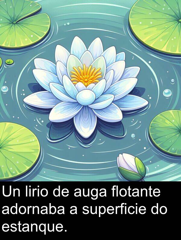 superficie: Un lirio de auga flotante adornaba a superficie do estanque.