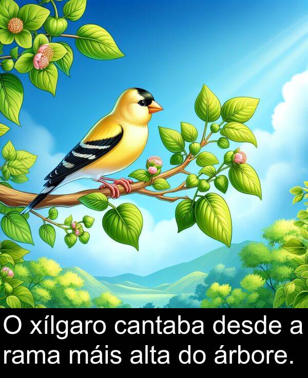 rama: O xílgaro cantaba desde a rama máis alta do árbore.