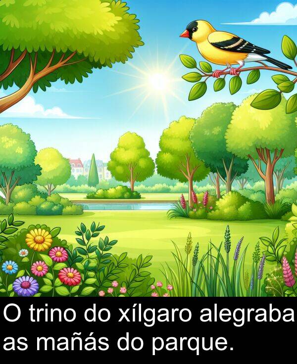 trino: O trino do xílgaro alegraba as mañás do parque.