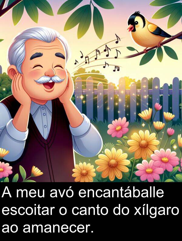 amanecer: A meu avó encantáballe escoitar o canto do xílgaro ao amanecer.