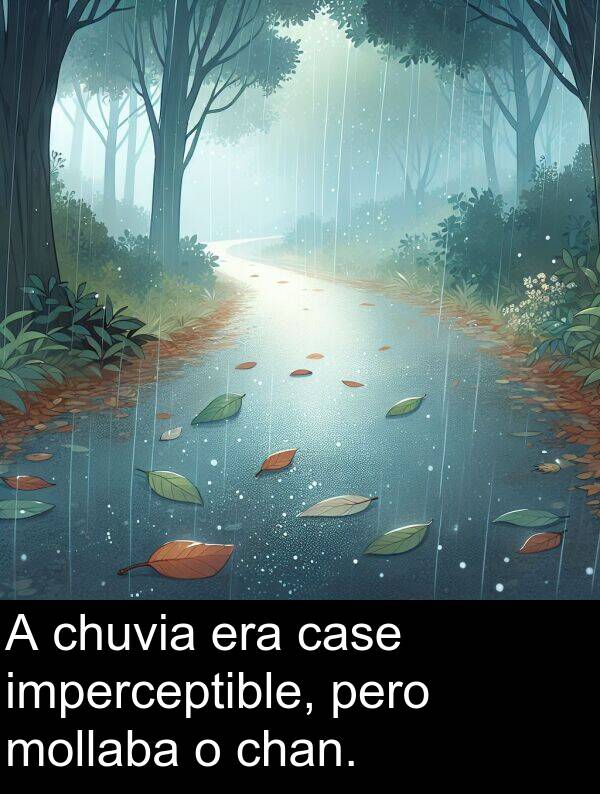 era: A chuvia era case imperceptible, pero mollaba o chan.