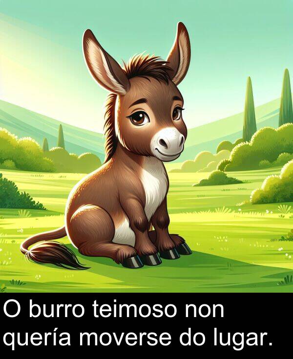 burro: O burro teimoso non quería moverse do lugar.