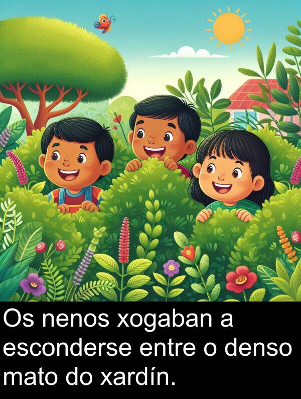 entre: Os nenos xogaban a esconderse entre o denso mato do xardín.