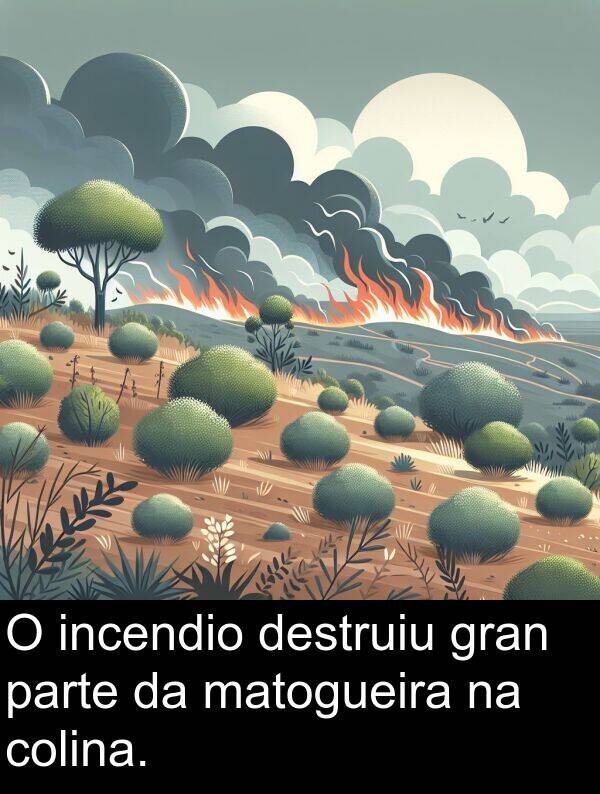 destruiu: O incendio destruiu gran parte da matogueira na colina.