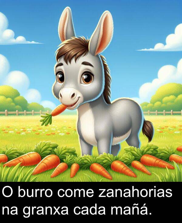 burro: O burro come zanahorias na granxa cada mañá.
