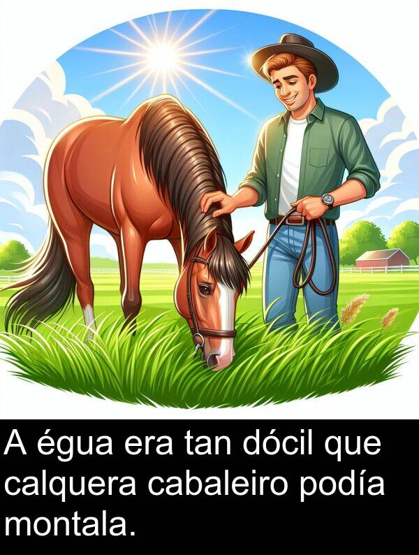 égua: A égua era tan dócil que calquera cabaleiro podía montala.