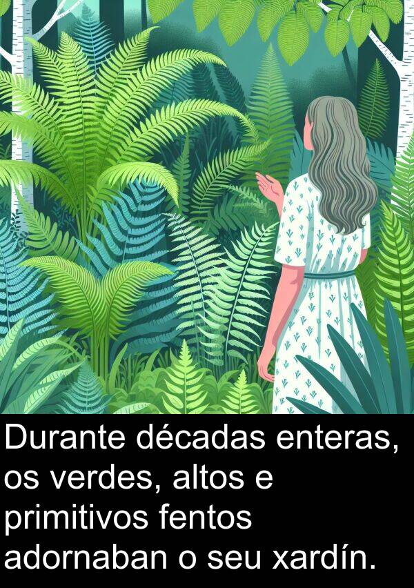 enteras: Durante décadas enteras, os verdes, altos e primitivos fentos adornaban o seu xardín.