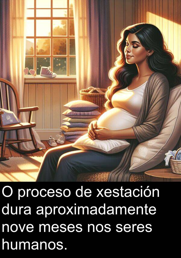 seres: O proceso de xestación dura aproximadamente nove meses nos seres humanos.