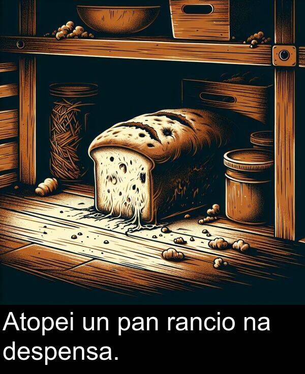 despensa: Atopei un pan rancio na despensa.