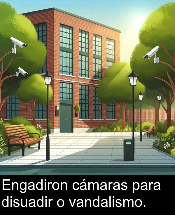 vandalismo: Engadiron cámaras para disuadir o vandalismo.