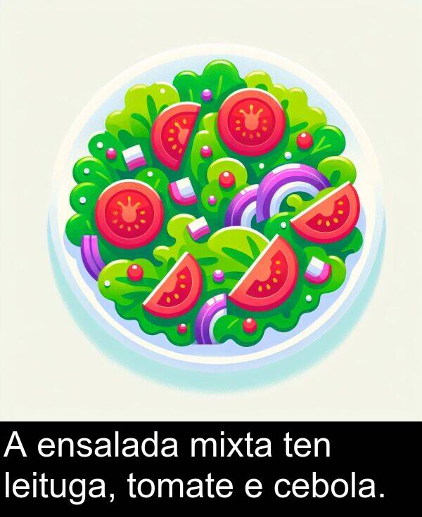 cebola: A ensalada mixta ten leituga, tomate e cebola.