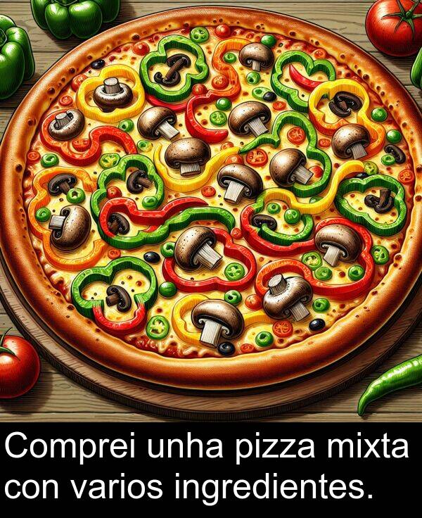 varios: Comprei unha pizza mixta con varios ingredientes.