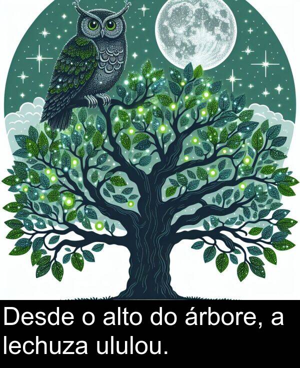 alto: Desde o alto do árbore, a lechuza ululou.