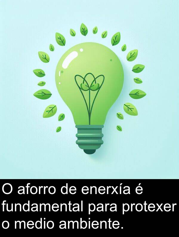 medio: O aforro de enerxía é fundamental para protexer o medio ambiente.
