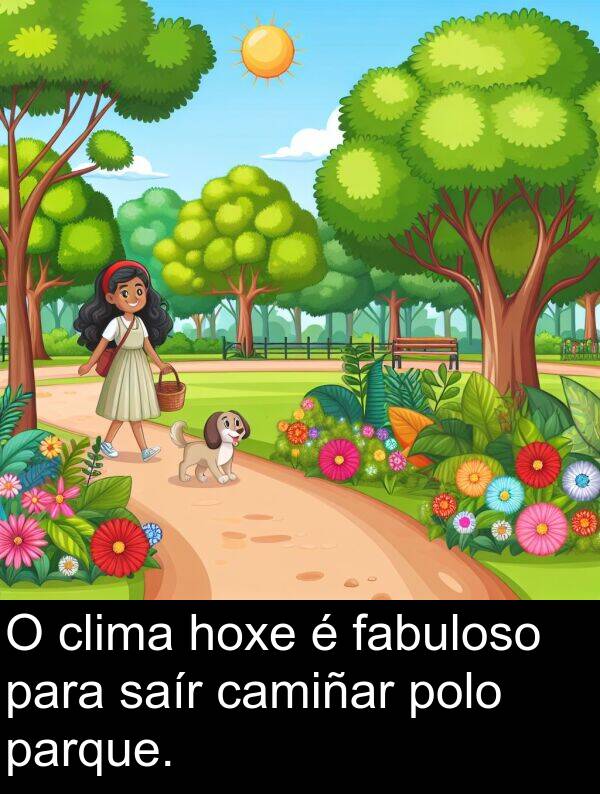 clima: O clima hoxe é fabuloso para saír camiñar polo parque.