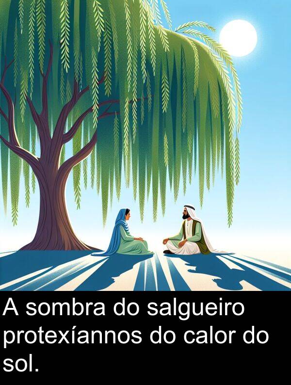 sombra: A sombra do salgueiro protexíannos do calor do sol.