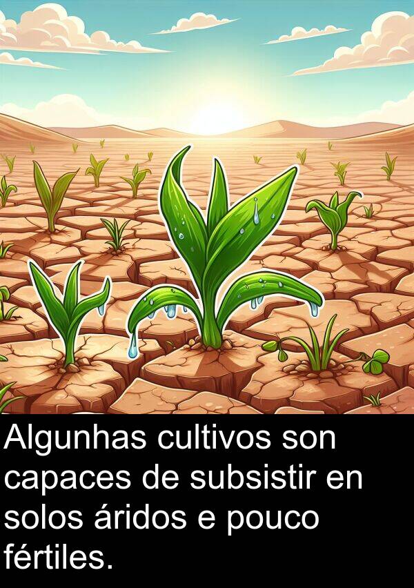 subsistir: Algunhas cultivos son capaces de subsistir en solos áridos e pouco fértiles.