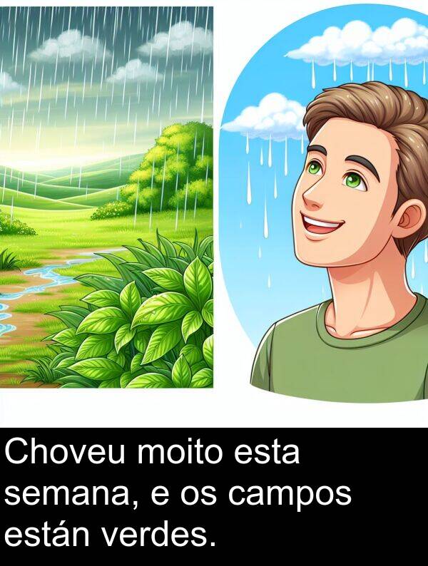 están: Choveu moito esta semana, e os campos están verdes.