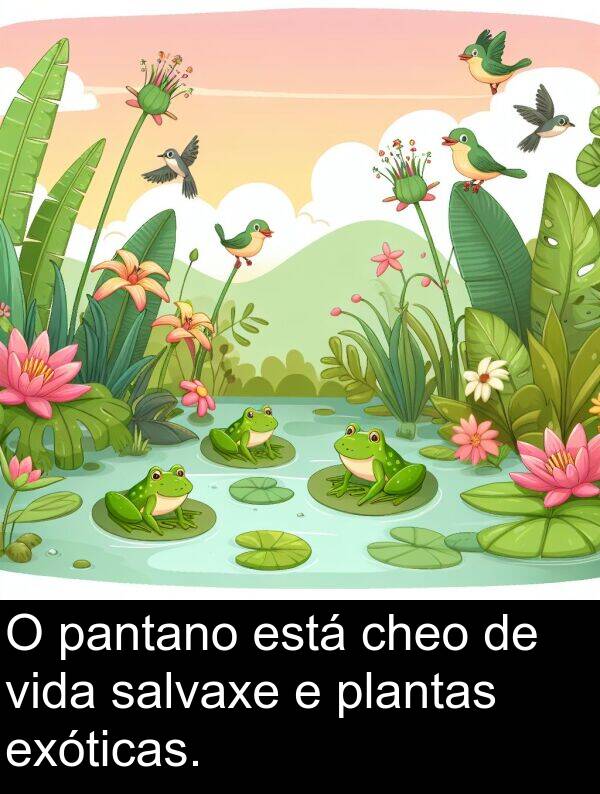 vida: O pantano está cheo de vida salvaxe e plantas exóticas.