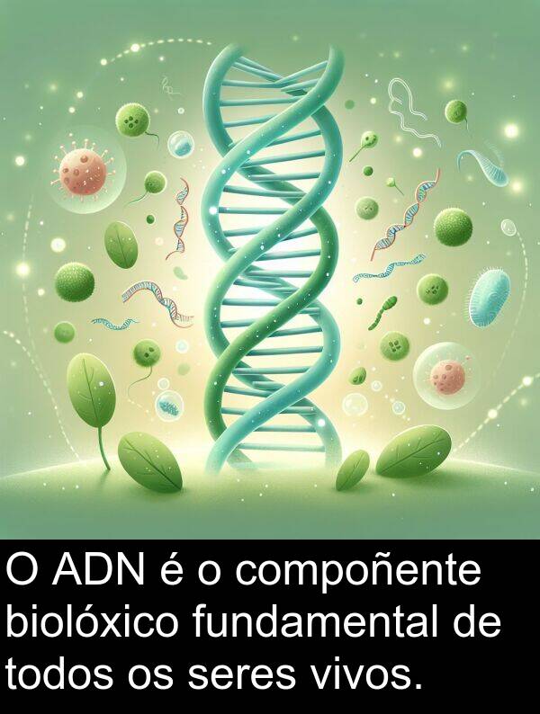 seres: O ADN é o compoñente biolóxico fundamental de todos os seres vivos.