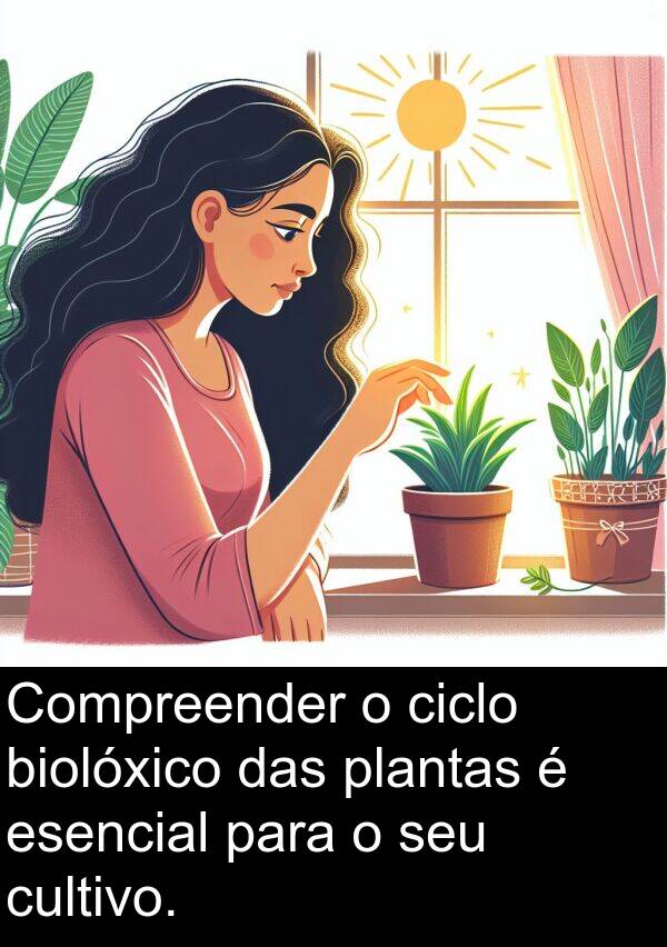 esencial: Compreender o ciclo biolóxico das plantas é esencial para o seu cultivo.