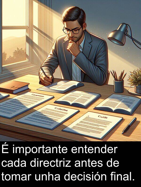 entender: É importante entender cada directriz antes de tomar unha decisión final.