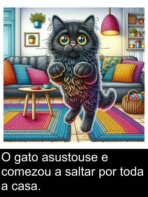 por: O gato asustouse e comezou a saltar por toda a casa.
