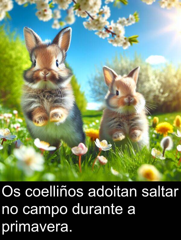 durante: Os coelliños adoitan saltar no campo durante a primavera.