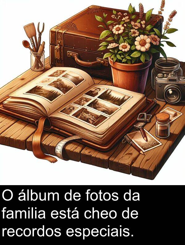 recordos: O álbum de fotos da familia está cheo de recordos especiais.