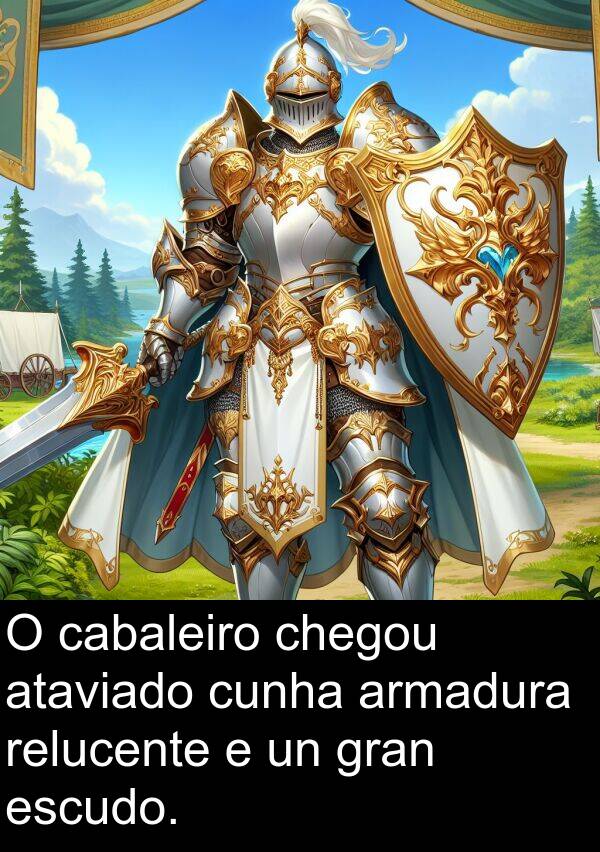relucente: O cabaleiro chegou ataviado cunha armadura relucente e un gran escudo.