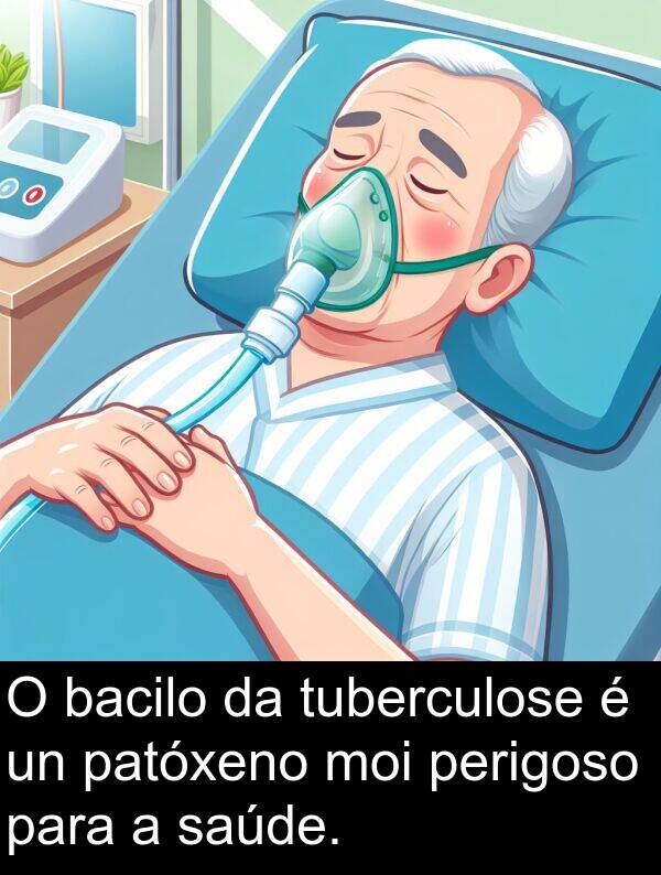 patóxeno: O bacilo da tuberculose é un patóxeno moi perigoso para a saúde.