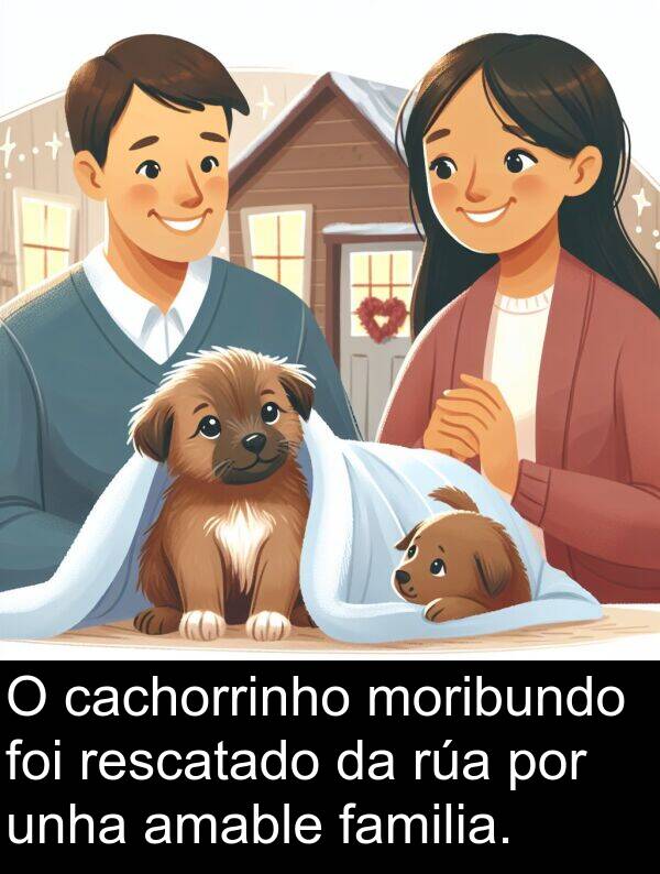 rescatado: O cachorrinho moribundo foi rescatado da rúa por unha amable familia.