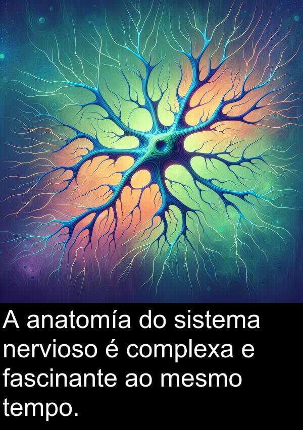 tempo: A anatomía do sistema nervioso é complexa e fascinante ao mesmo tempo.