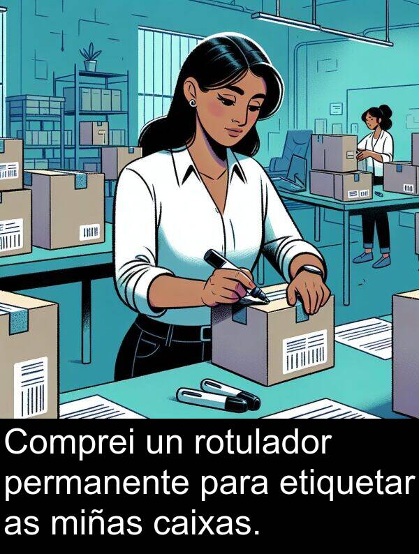 miñas: Comprei un rotulador permanente para etiquetar as miñas caixas.