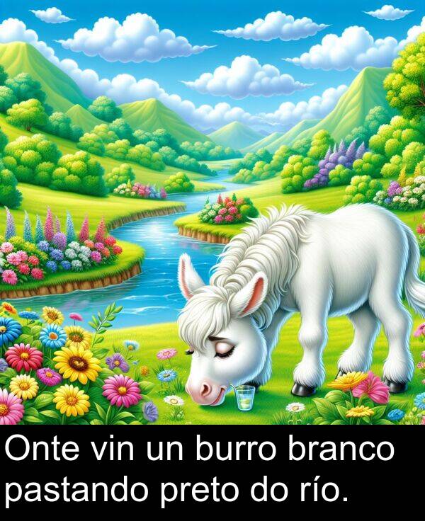 río: Onte vin un burro branco pastando preto do río.