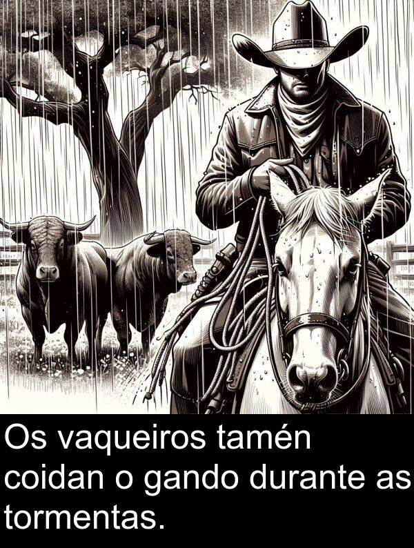 durante: Os vaqueiros tamén coidan o gando durante as tormentas.