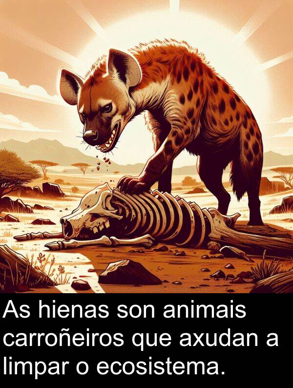 ecosistema: As hienas son animais carroñeiros que axudan a limpar o ecosistema.