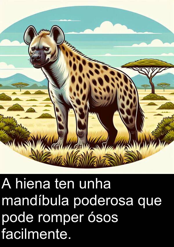 mandíbula: A hiena ten unha mandíbula poderosa que pode romper ósos facilmente.