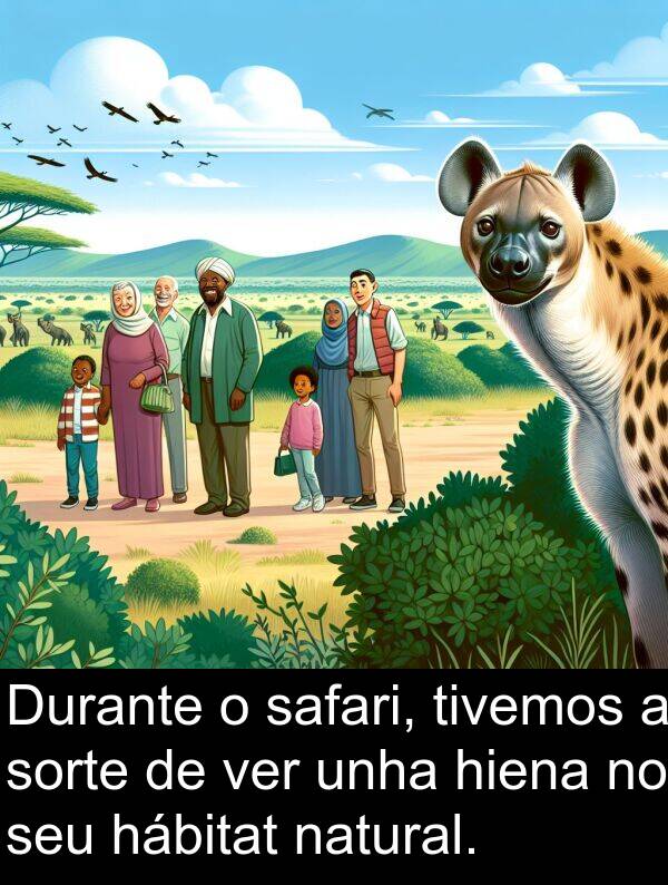 safari: Durante o safari, tivemos a sorte de ver unha hiena no seu hábitat natural.