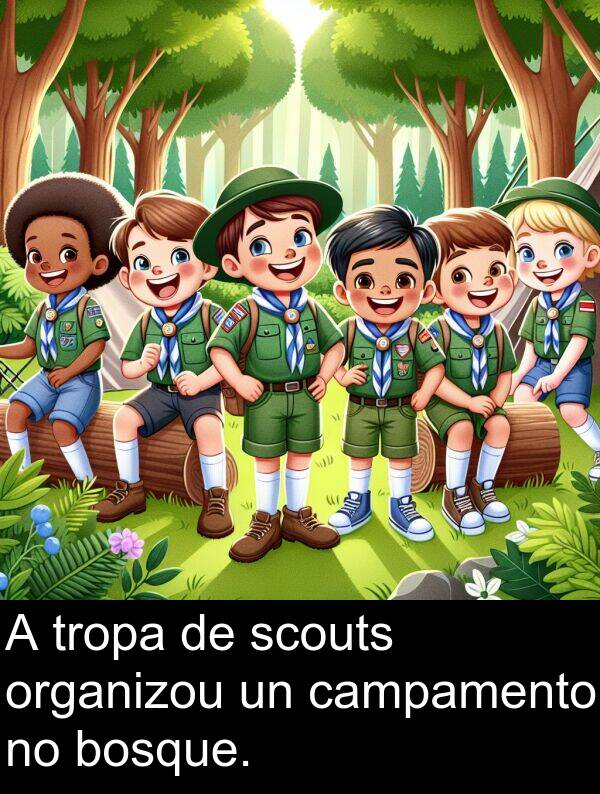 tropa: A tropa de scouts organizou un campamento no bosque.