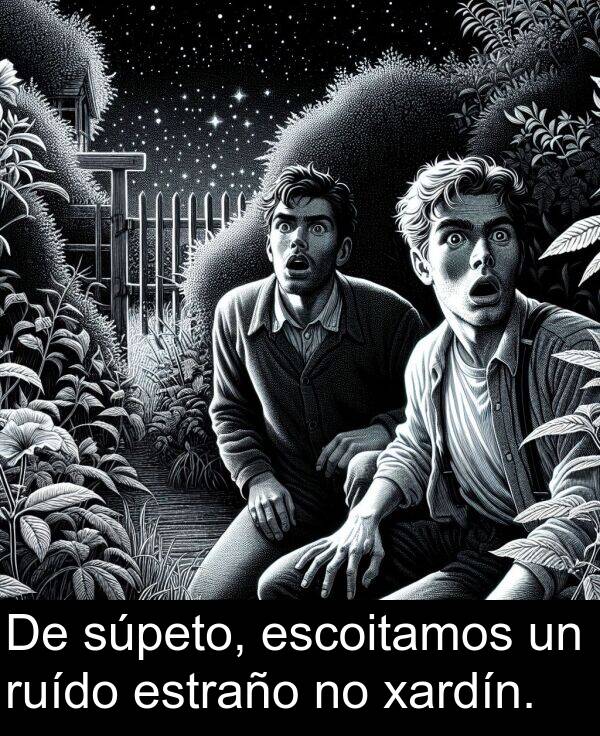 ruído: De súpeto, escoitamos un ruído estraño no xardín.